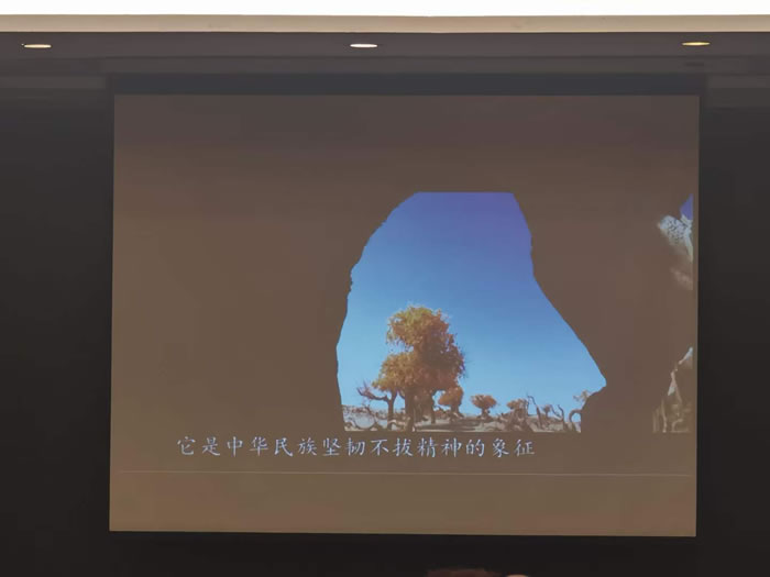 綿陽中旅行假日旅行社舉行胡楊林、南疆專列推薦會(huì)