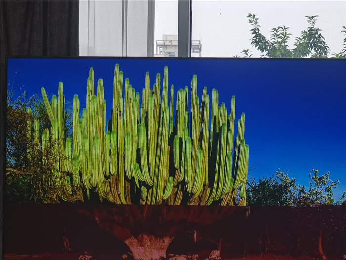 綿陽中旅假日旅行社2025年澳洲暨秋季線路品鑒會(huì)